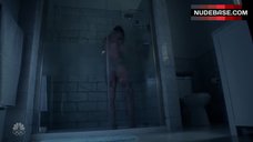 10. Jaimie Alexander Shower Scene – Blindspot