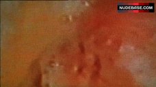 6. Sanna Brading Tits and Bald Bush – A Hole In My Heart