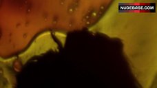 34. Elizabeth Rice Topless Scene – Paradise Club