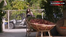 23. Sexuality Heather Hopkins in Bikini – Animal Kingdom