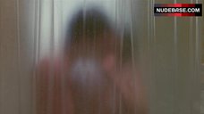 67. Diane Lane Shower Sex – Ladies And Gentlemen, The Fabulous Stains