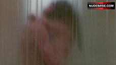 78. Diane Lane Shower Sex – Ladies And Gentlemen, The Fabulous Stains