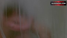 89. Diane Lane Shower Sex – Ladies And Gentlemen, The Fabulous Stains