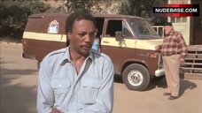 1. Kristy McNichol No Bra – White Dog