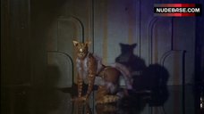 PaSean Wilson Dance in Cat Outfit – Striptease