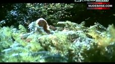 34. Anita Sanders Nude in Forest – Nerosubianco