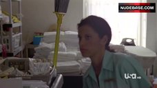 67. Missi Pyle in Sexy Bikini – In Plain Sight