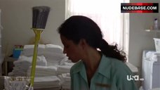 89. Missi Pyle in Sexy Bikini – In Plain Sight