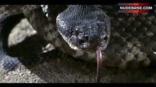 45. Cheryl "Rainbeaux" Smith Topless – Parasite