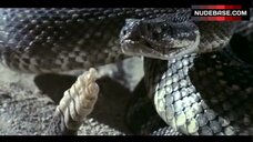 67. Cheryl "Rainbeaux" Smith Topless – Parasite