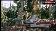 1. Catherine Schell Tits Flash – Lana - Konigin Der Amazonen