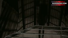 23. Tanit Phoenix Sexy Scene – Death Race: Inferno