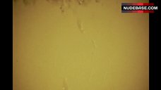 100. Julie Ritter Nude Breasts – Death Bed: The Bed That Eats