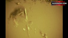 45. Julie Ritter Nude Breasts – Death Bed: The Bed That Eats