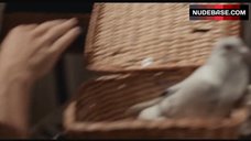 1. Marianna Hill Sex Scene – Medium Cool