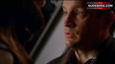 89. Hot Dina Meyer – Castle