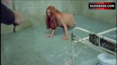 67. Beni Cardoso Nude Tits and Ass – Barbed Wire Dolls