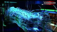 23. Erica Durance in Underwear – Smallville