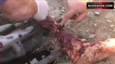 8. Laura Ramsey In Sexy Bikini – The Ruins